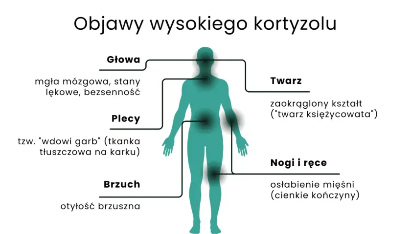 Ilustracja przedstawia sylwetkę człowieka z zaznaczonymi obszarami ciała i objawami nadmiaru kortyzolu.