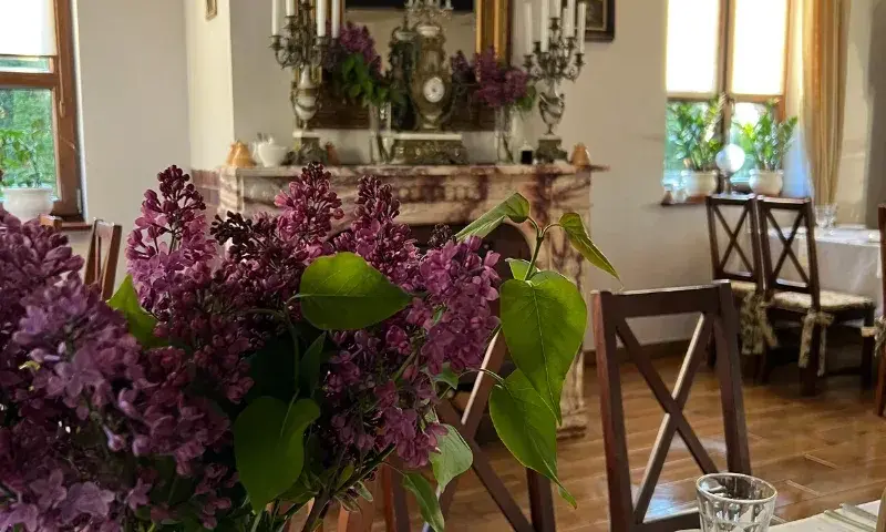 Gdzie zjeść w Drohiczynie? Odkryj najlepsze restauracje i smaki
