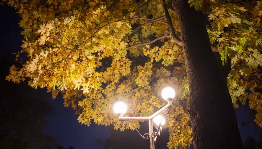 Zanieczyszczenie światłem - Jak poprawić nocne oświetlenie?