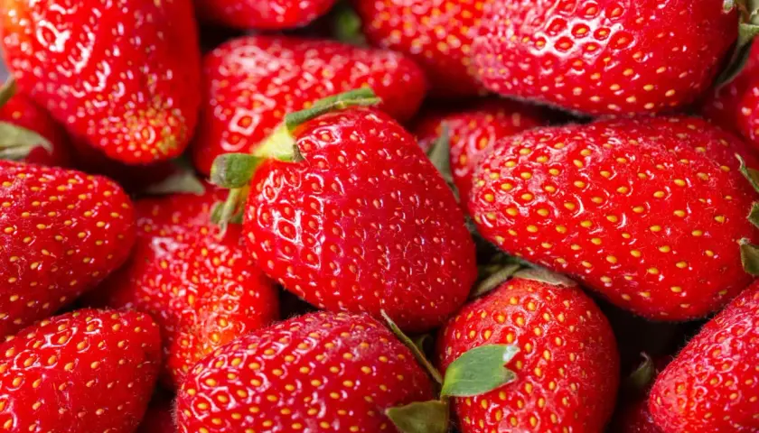 Mnóstwo soczystych, czerwonych truskawek. Czy truskawki są zdrowe? Tak, są pełne witamin i antyoksydantów!