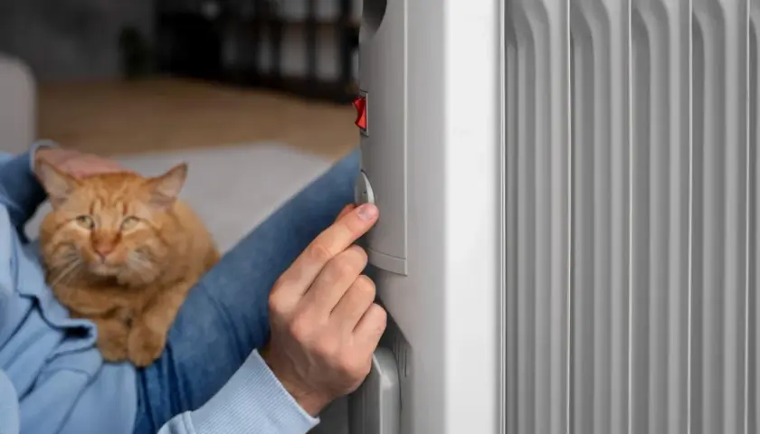 Persona ajusta un emisor térmico, comparándolo con un radiador de aceite, mientras acaricia a su gato.