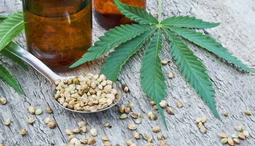 Löffel voller Hanfsamen neben Flaschen mit CBD Hemp Oil und einem grünen Hanfblatt auf Holz.