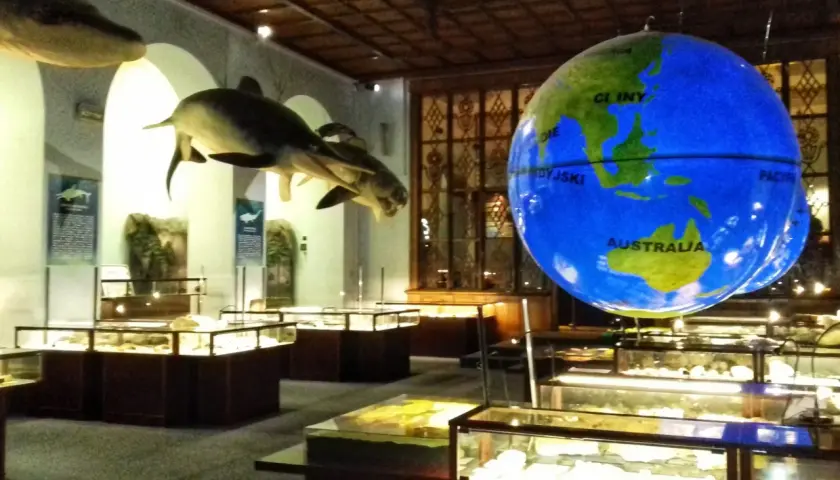 W muzeum dinozaurów w Warszawie można podziwiać modele prehistorycznych zwierząt i wielki glob.