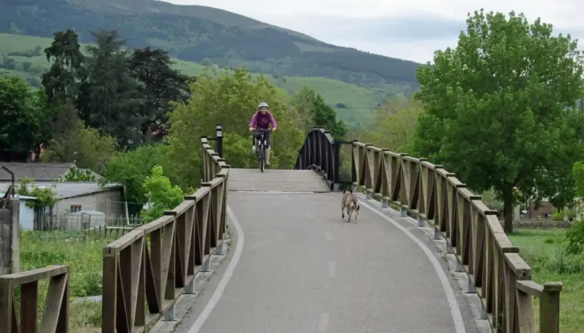 Ciclista y perro disfrutan de la vía verde Cantabria, rodeados de naturaleza y un puente de madera.