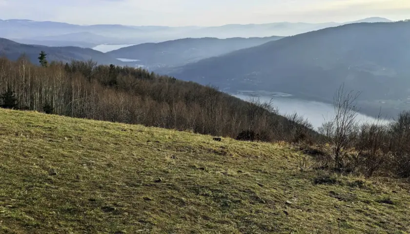 Widok na jezioro i góry w Beskidzie Małym. Na pierwszym planie trawiasty stok, dalej las liściasty i iglasty, a w oddali łagodne, zamglone pasma górskie.