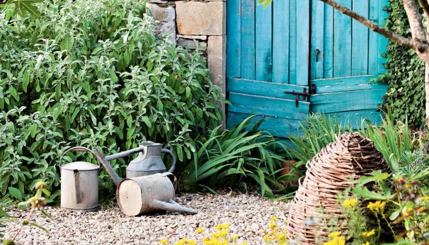 Un coin de jardin charmant avec des arrosoirs anciens, une porte bleue et des plantes luxuriantes, parfait pour créer un massif sans entretien.
