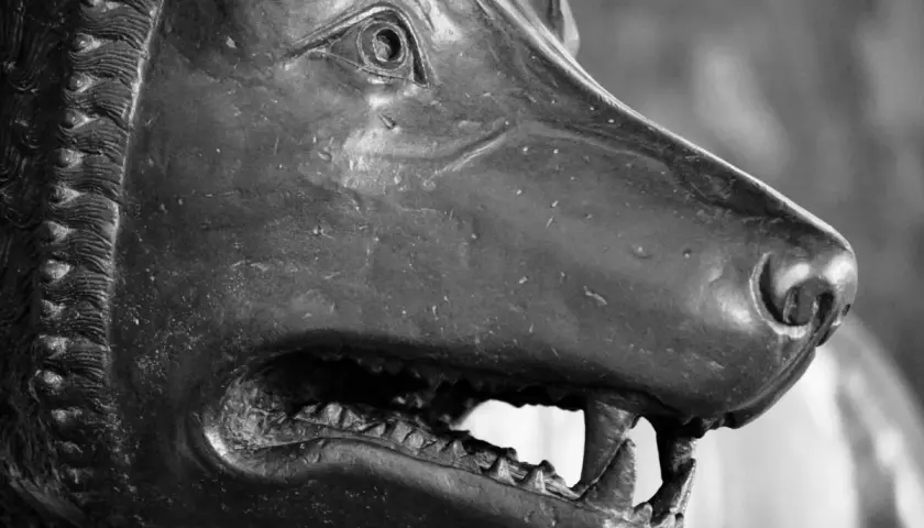 Dettaglio della lupa capitolina, simbolo di Roma, con la bocca aperta e i denti aguzzi.