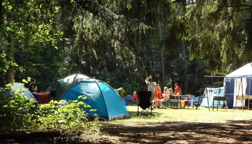 Słoneczne pola kempingowe w lesie. Ludzie odpoczywają przy namiotach i stoliku, ciesząc się naturą.