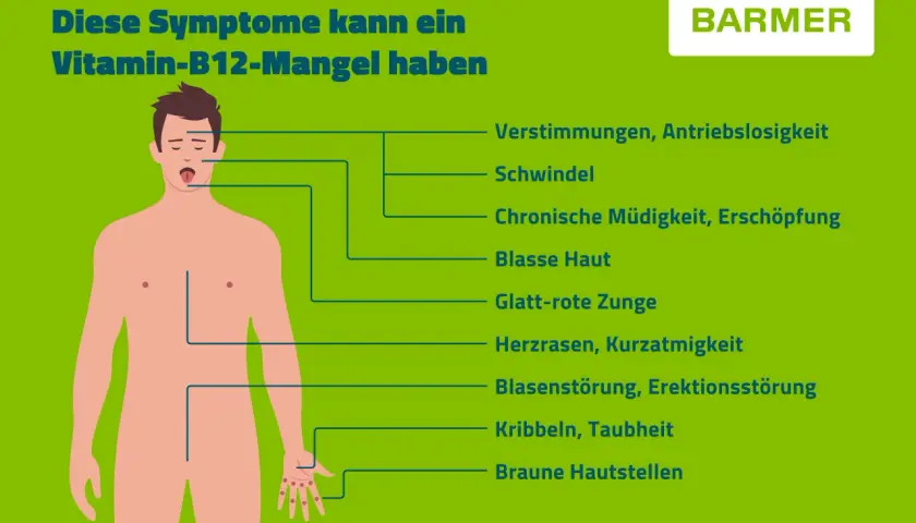 Vitamin B12: Wichtige Funktionen, Mangelerscheinungen und Nahrungsquellen