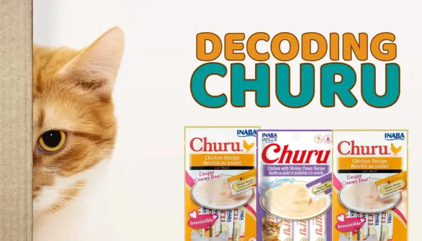 Curious cat peeks out, wondering if Churu is good for cats. Three Churu cat treat packages are displayed.