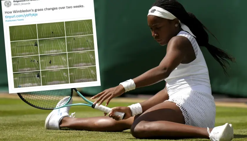 Tenis ziemny w Wimbledon, gdzie trawa zmienia się pod wpływem gry. Zawodniczka w białym stroju na zielonym korcie.
