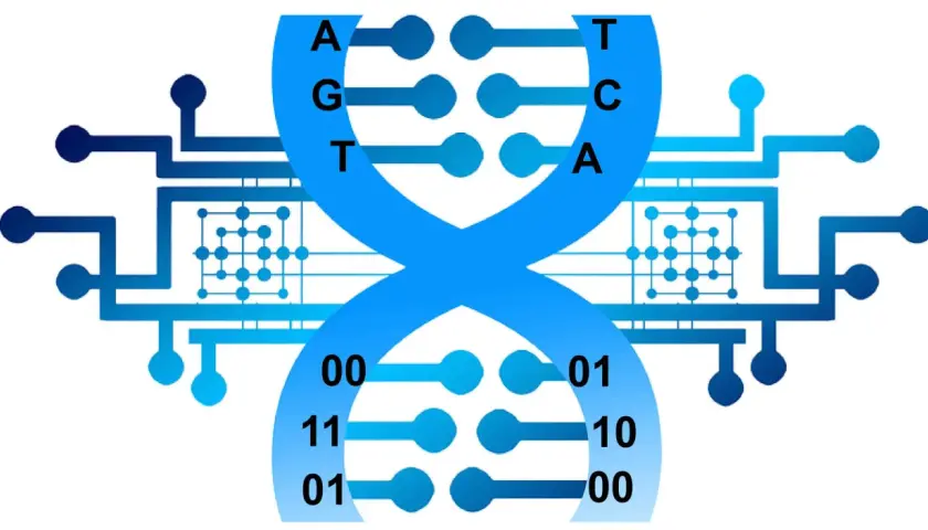 Die DNA-Doppelhelix wird mit digitalen Schaltkreisen und Binärcode dargestellt, was die Idee von DNA als Speichermedium veranschaulicht.
