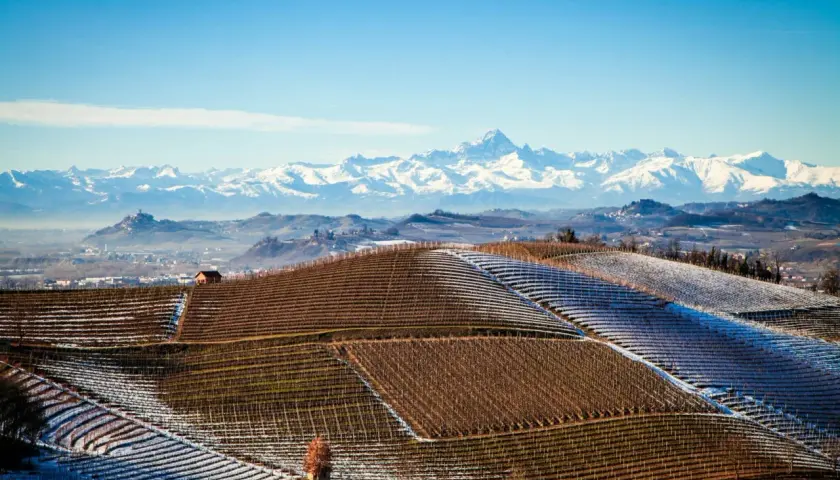 Collines enneigées du Piémont, parsemées de vignes prêtes pour un millésime Barolo exceptionnel, avec les Alpes majestueuses en arrière-plan.