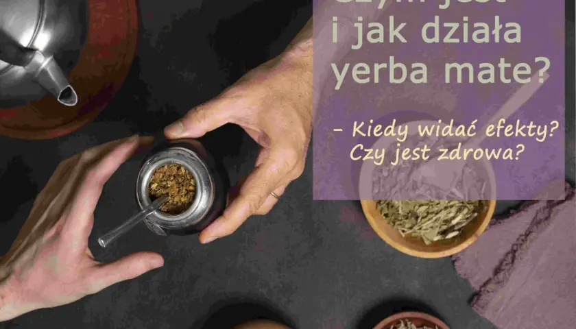 Dłonie przygotowują yerba mate. Kiedy widać efekty jej picia? Dowiedz się, jak działa yerba mate i czy jest zdrowa.