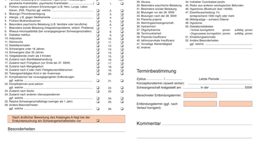 Formular zur Erfassung von Schwangerschaftsdaten, u.a. Anamnese und besondere Befunde im Schwangerschaftsverlauf.