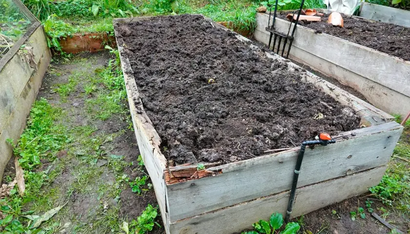 Upphöjd bädd med mörk, näringsrik jord, redo för plantering. En vattenslang är ansluten.