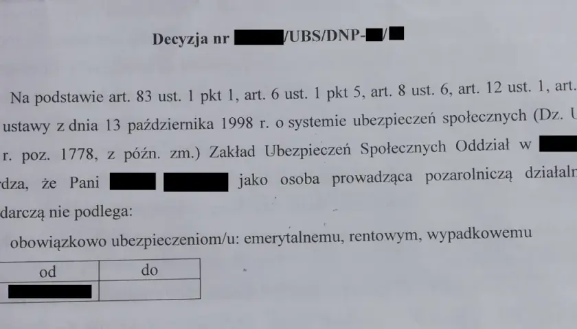 Decyzja ZUS o żłobkowym: Kiedy ją dostaniesz i co dalej?