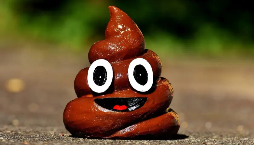 Uśmiechnięty emoji kupy, przypominający wygląd kupy psa, z wielkimi oczami i otwartymi ustami.
