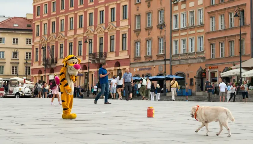 Tygrys z bajki i pies na placu w Warszawie. W tle kamienice i turystyczny pociąg. Idealne miejsce na spacery, takie galerie przyjazne psom warszawa.
