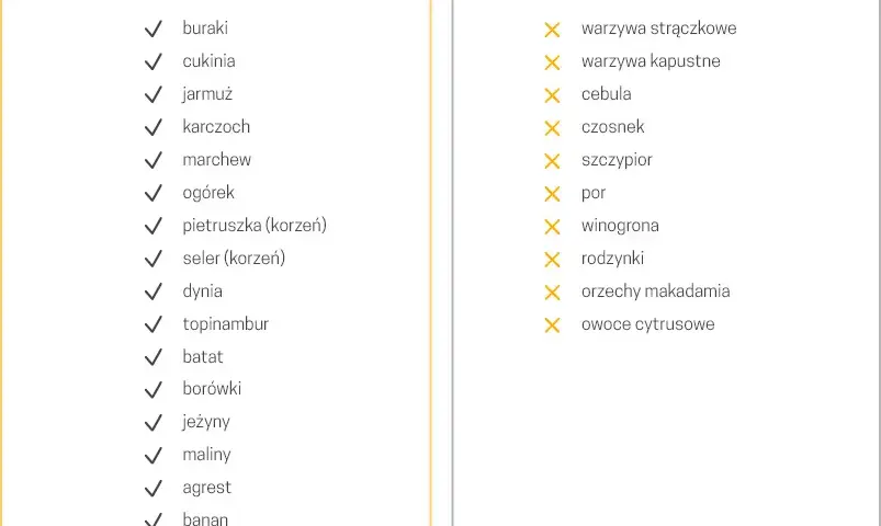 Bezpieczne przyprawy dla psa: Co możesz podać, a czego unikać?