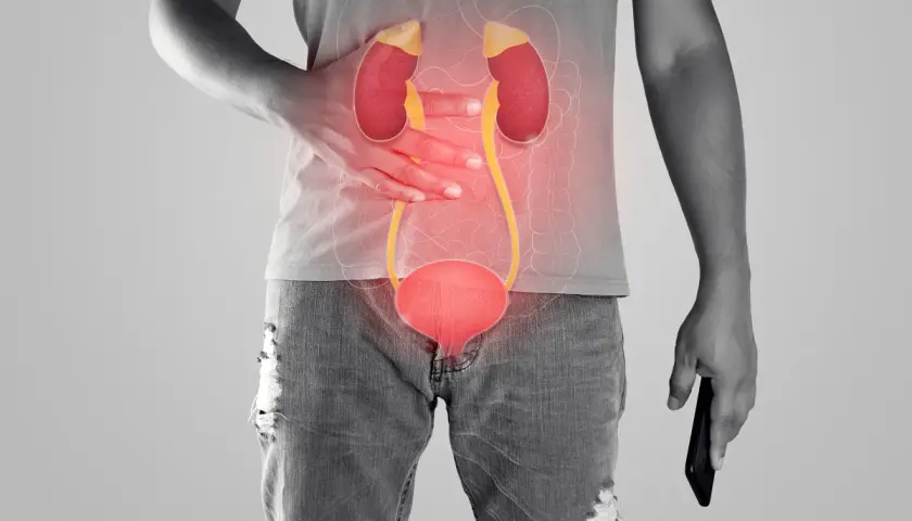Anatomia układu moczowego z zaznaczonym bólem w okolicy nerek i pęcherza.