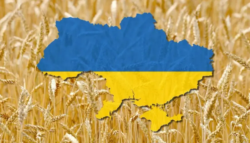 Carte de l'Ukraine aux couleurs du drapeau, superposée sur un champ de blé doré. L'image évoque la richesse agricole et la production de blé de l'Ukraine, un classement mondial important.