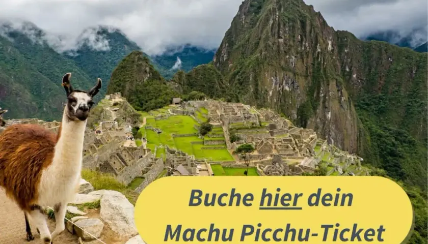 Ein Lama blickt neugierig in die Kamera, Machu Picchu im Sacred Valley, Peru, im Hintergrund. Buche hier dein Ticket!