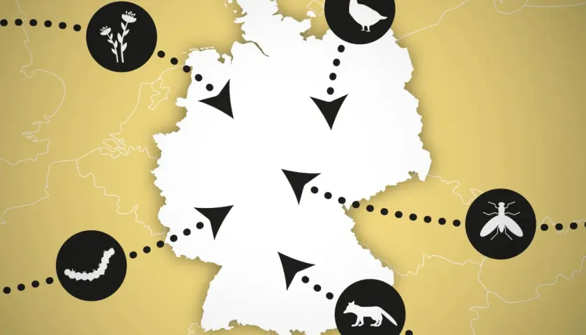 Karte von Deutschland mit Icons für Blumen, Gänse, Fliegen, Raupen und Füchse, die verschiedene Regionen der Provinz Deutschland verbinden.