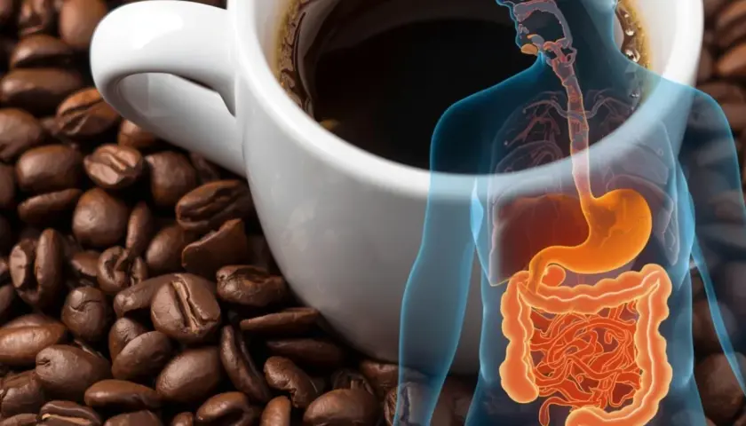 Kaffee und Verdauungstrakt. Die Frage welcher Kaffee ist magenschonend wird visuell thematisiert.