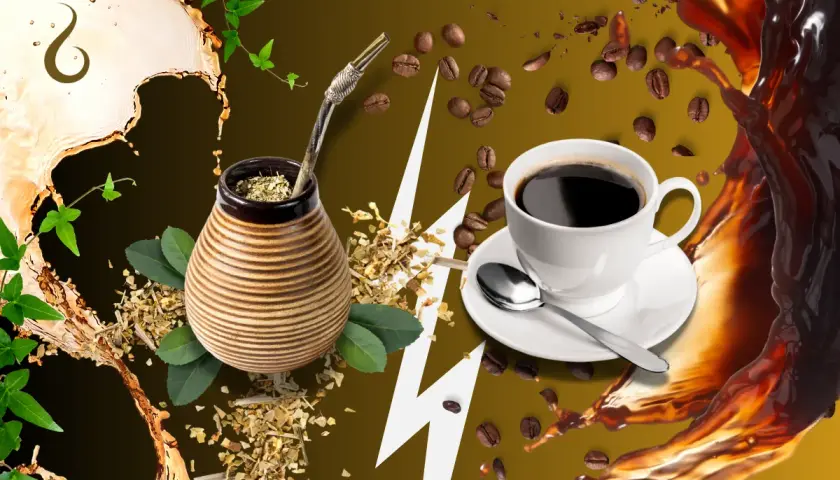 Yerba mate: Ile naprawdę zawiera kofeiny? Poznajemy fakty i mity