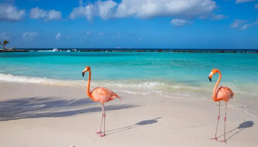 Aruba: Gdzie leży i dlaczego to idealne wakacje przez cały rok?