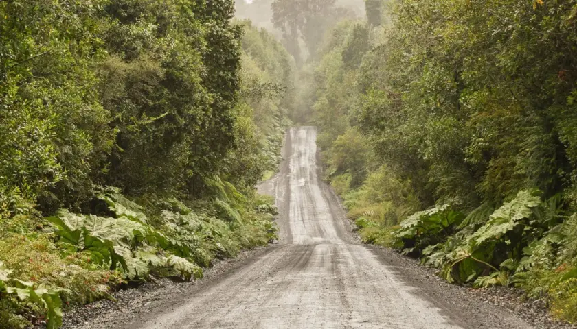 Camino de ripio ascendente rodeado de exuberante vegetación y niebla, evocando la aventura de la Carretera Austral.