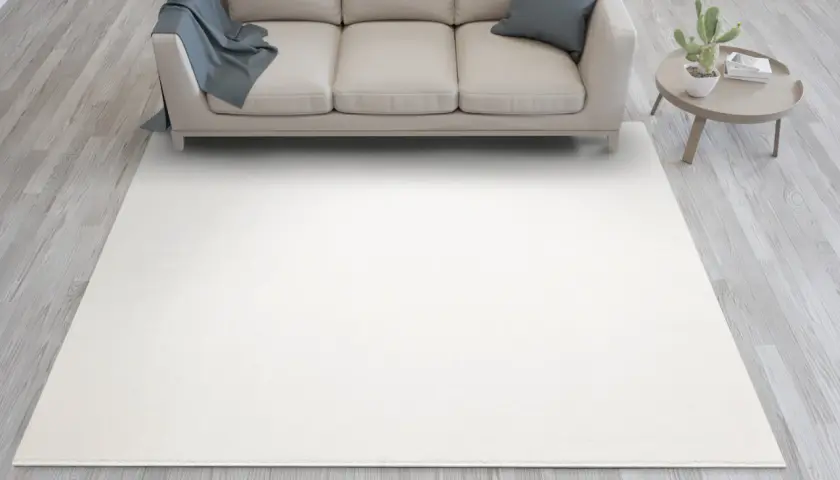 Jasna sofa w kolorze kość słoniowa, z niebieskim kocem i poduszką, stoi na jasnym dywanie. Obok stolik z kaktusem.