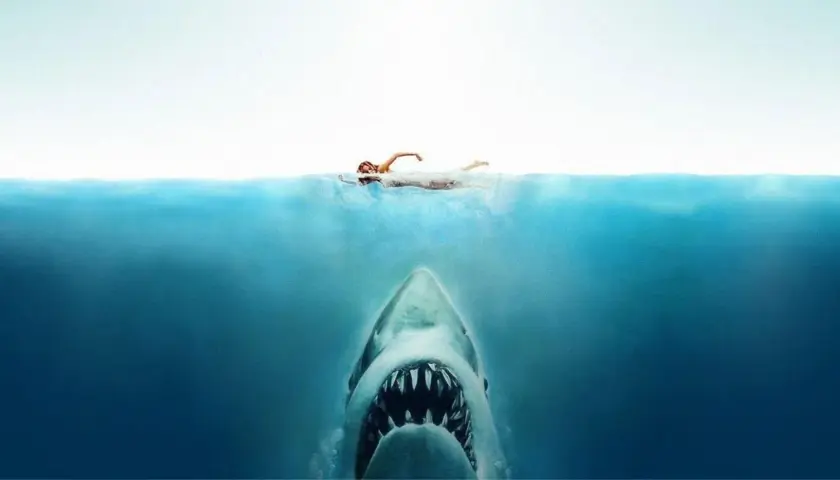 Un bagnante ignaro nuota in superficie, mentre un terrificante squalo si avvicina dal basso. Un'icona del cinema, un vero blockbuster di intrattenimento.