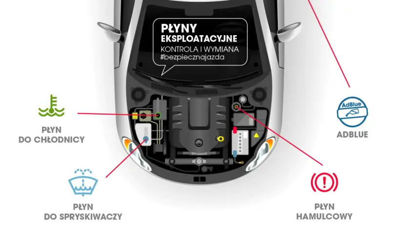 Schemat pod maską: płyn do chłodnicy, spryskiwaczy, hamulcowy i AdBlue. Nie wiem jaki mam płyn w chłodnicy? Sprawdź!
