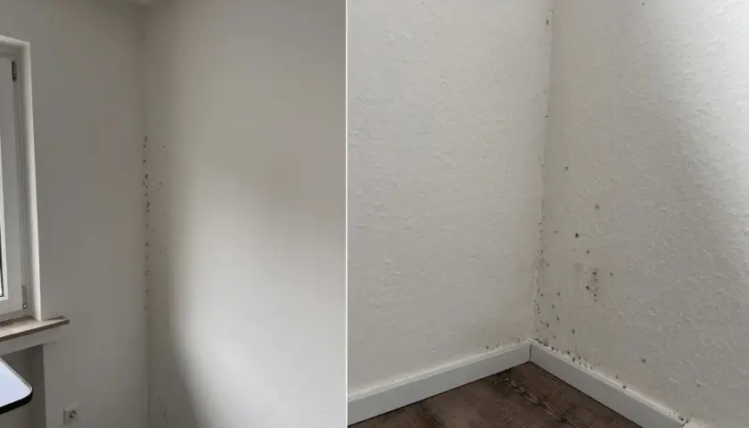 Schimmel in Ecken entfernen: Dunkle Flecken an der weißen Wand zeigen, wo der Schimmel wächst.