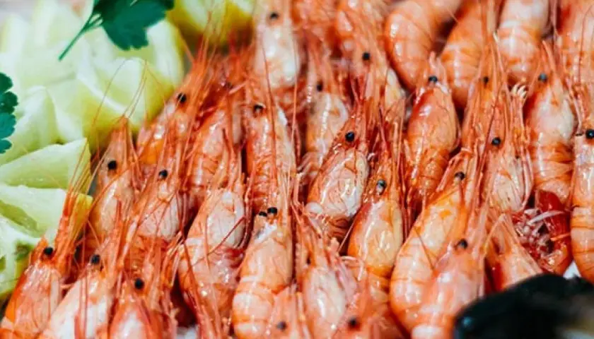 Diferencia entre gambas y camarones: lo que no sabías sobre ellos