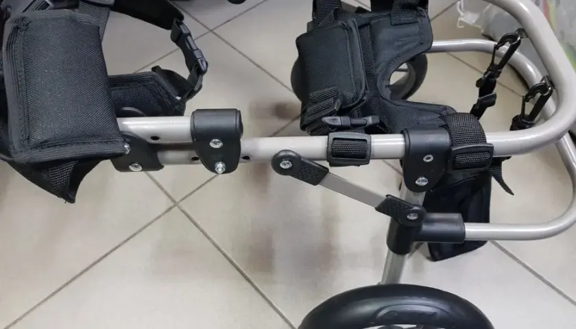 Jak zrobić wózek inwalidzki dla kota - prosty sposób na komfort zwierzaka