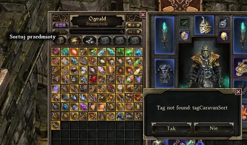 Jak zainstalować spolszczenie do Grim Dawn bez problemów i błędów