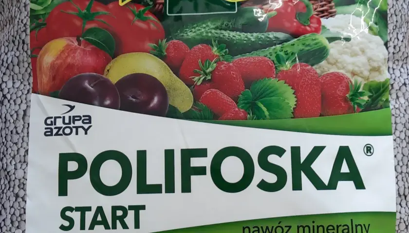 Kiedy stosować Polifoskę w ogrodzie, aby uniknąć błędów w nawożeniu roślin?