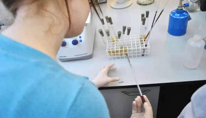 Biologia sądowa czy warto? Perspektywy, zarobki i wyzwania tego kierunku studiów