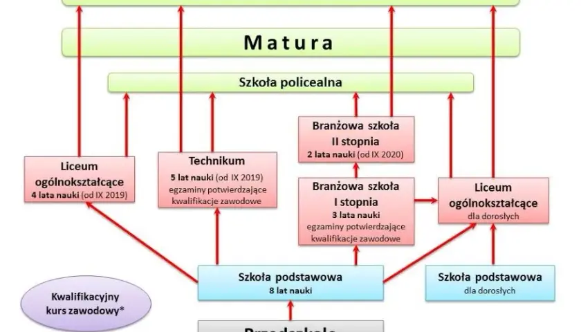 Jak wygląda życie dzieci w szkole: etapy edukacji i system nauczania w Polsce