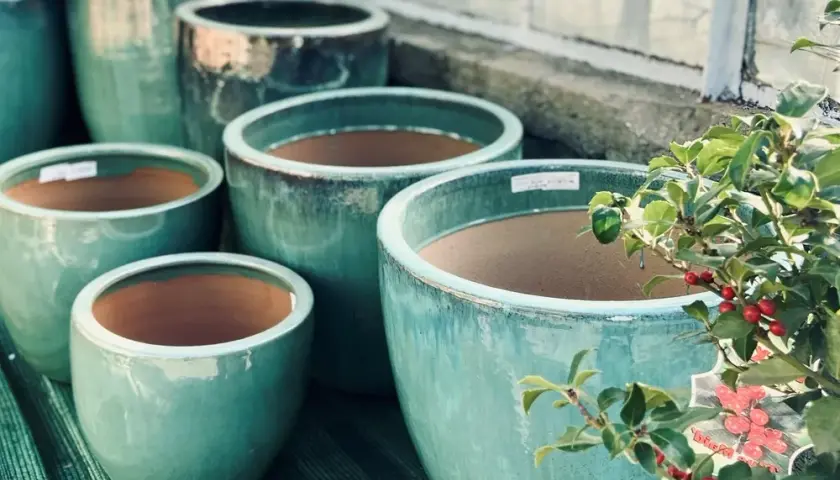 Jak prawidłowo wyrzucać doniczki ceramiczne - poradnik recyklingu