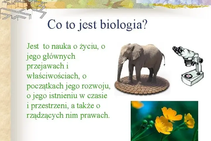 Biologia co to jest? Prosta definicja, zastosowania i główne działy nauki