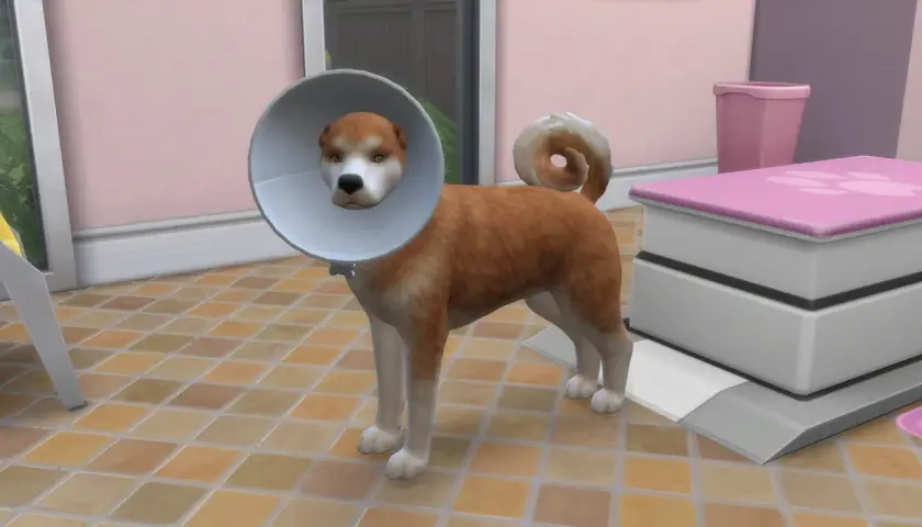 Odbierz za darmo dodatek The Sims 4 ze zwierzętami domowymi