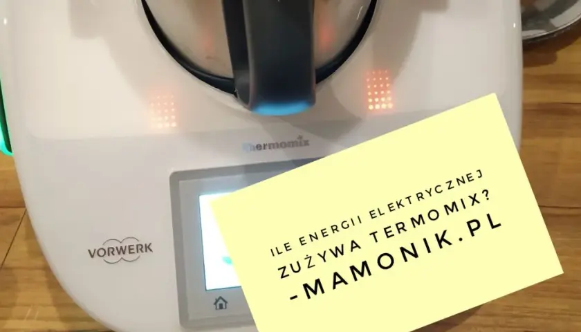 Czy thermomix pobiera dużo prądu? Sprawdź koszty energii!