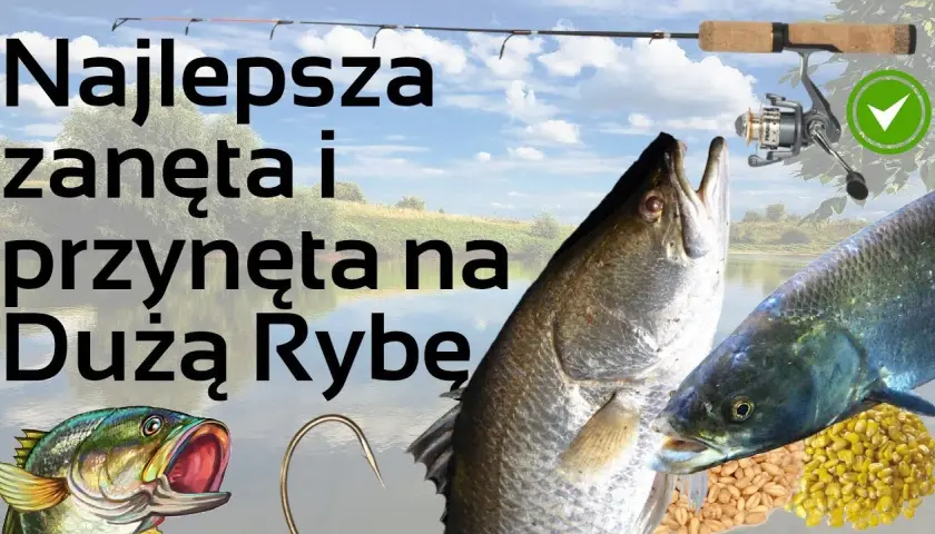 Rozwiązania do krzyżówki: przynęta na ryby - znajdź idealne hasła