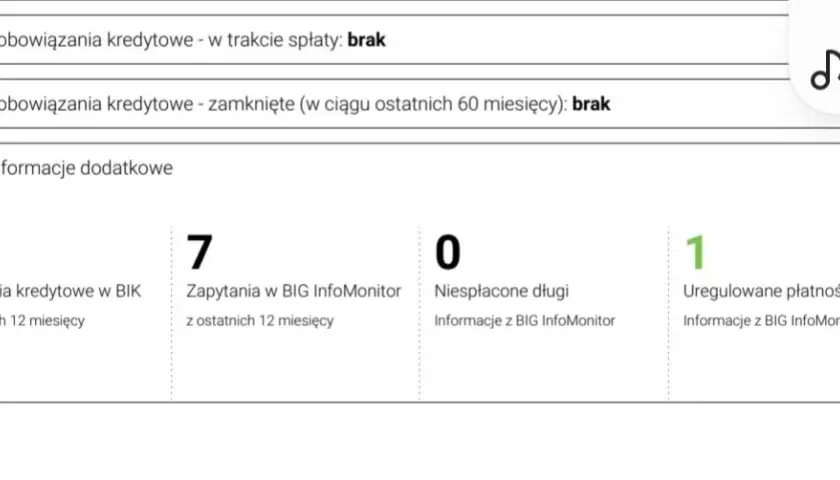 Co bank widzi w BIK? Kluczowe informacje dla kredytobiorców