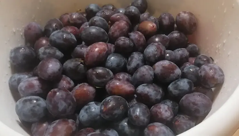 Jak mrozić śliwki, aby nie straciły smaku i aromatu?