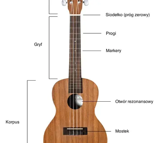 Jakie ukulele dla początkujących: wybierz najlepszy model bez błędów